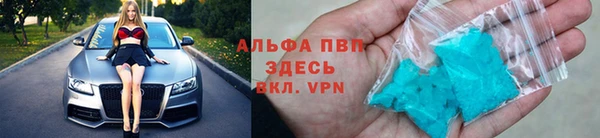 прущие грибы Белоозёрский