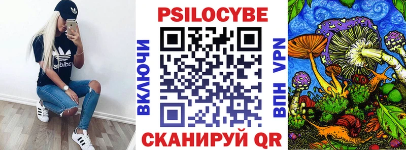Галлюциногенные грибы Cubensis Курлово